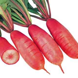 ALL_catalog_24F17_NsyK6E2TY8