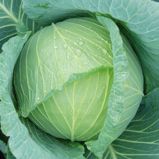 ALL_catalog_24F17_QJP0KbRLkF