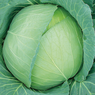 ALL_catalog_24F17_S0TqenXwFE