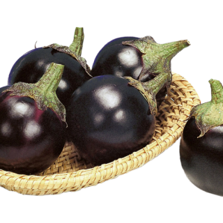 ALL_catalog_24F17_SadV5M3ZWz