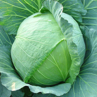 ALL_catalog_24F17_T3ssxpwmAh