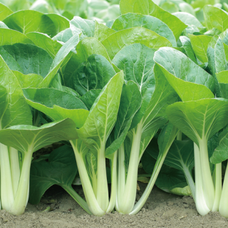 ALL_catalog_24F17_T7G3vvCrz6