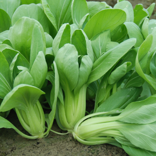 ALL_catalog_24F17_T8CY04Sdgx