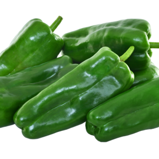 ALL_catalog_24F17_VjWc6U0bts