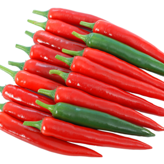 ALL_catalog_24F17_WYoGk6qJTX