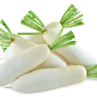 ALL_catalog_24F17_YwkeHV33a8