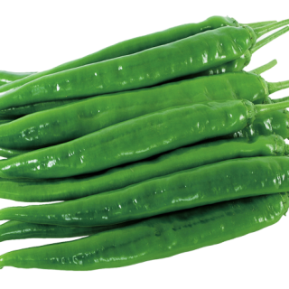 ALL_catalog_24F17_bVPVjMWHJu