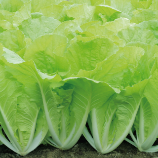 ALL_catalog_24F17_bWQdZHyAU6