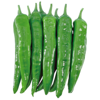 ALL_catalog_24F17_c77OCtzX5Q