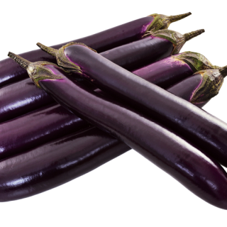 ALL_catalog_24F17_ddQVSTTCJQ