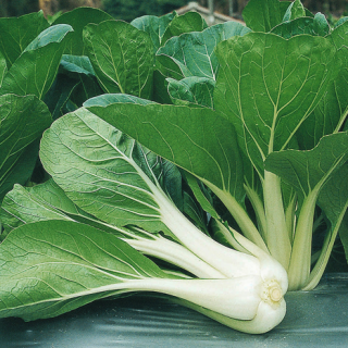 ALL_catalog_24F17_dqdNiBVTpk