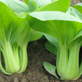 ALL_catalog_24F17_eVcOyDm0vL