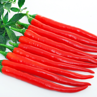 ALL_catalog_24F17_f7RgzVj2V8