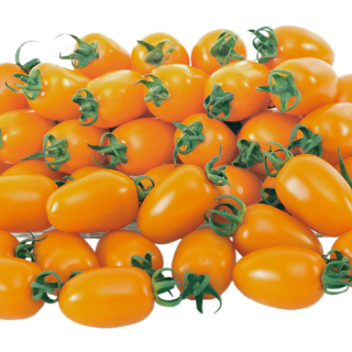 ALL_catalog_24F17_fwyXKy5pqZ