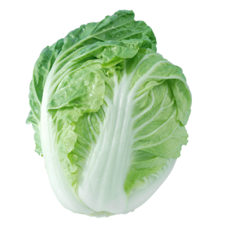 ALL_catalog_24F17_hVe9d97LjG