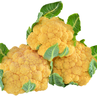 ALL_catalog_24F17_hpsEYsGhyg