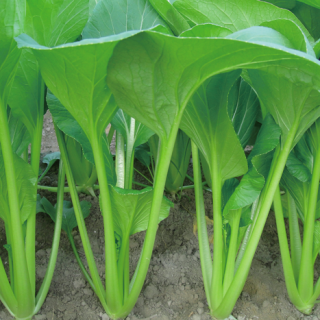 ALL_catalog_24F17_jxvB9HIJXT