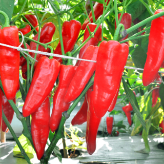 ALL_catalog_24F17_k0h3jGxCUS