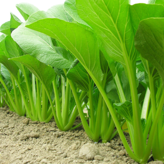 ALL_catalog_24F17_lSHtTptdmQ