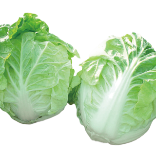 ALL_catalog_24F17_mBPjm1TG7t