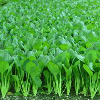 ALL_catalog_24F17_n6eO0DWtck