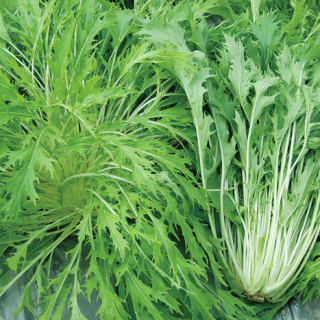 ALL_catalog_24F17_oObww5lgkz