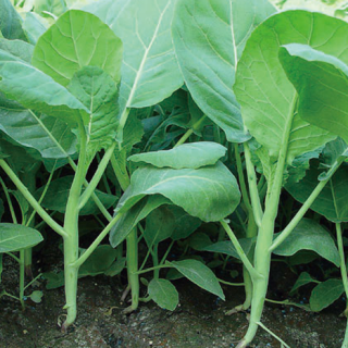 ALL_catalog_24F17_pQhBBRRPqW