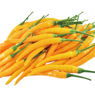 ALL_catalog_24F17_r5OJL9iuWU