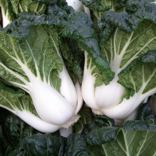 ALL_catalog_24F17_rJSnHrhuGF