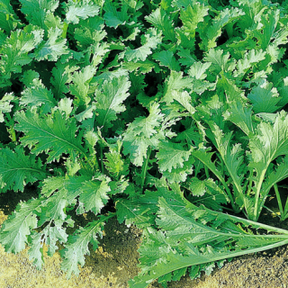 ALL_catalog_24F17_rLWW9YOM5D