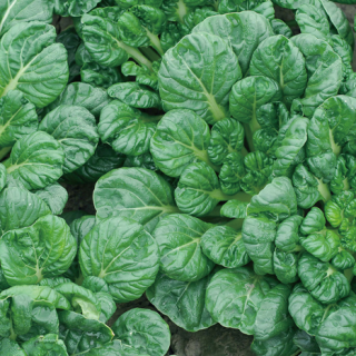 ALL_catalog_24F17_sCzL3IYaHI