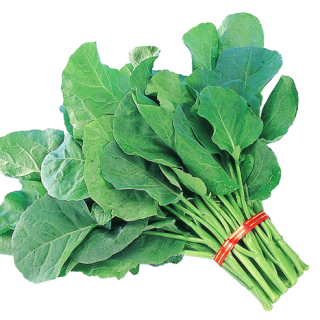 ALL_catalog_24F17_sfud5JhpMw