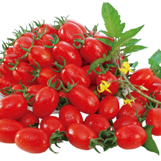 ALL_catalog_24F17_sndLVcsxWD