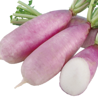 ALL_catalog_24F17_srzdjoLdU8