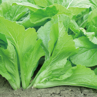 ALL_catalog_24F17_tRzQLwuKxe