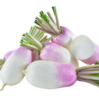 ALL_catalog_24F17_uA3VeHsaE5