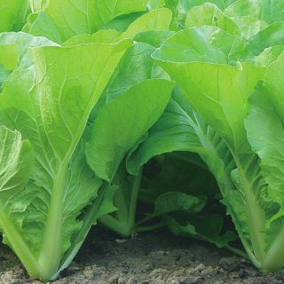 ALL_catalog_24F17_uLsqBTWIyh