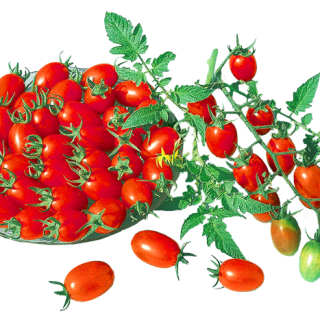 ALL_catalog_24F17_ueGhI6KYnn