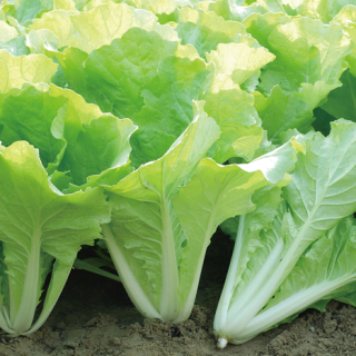 ALL_catalog_24F17_vUuqHnsmVc