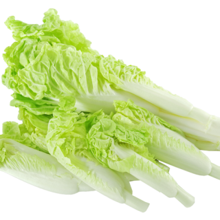 ALL_catalog_24F17_x6HNV3uShc