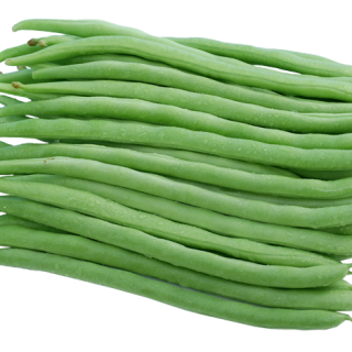 ALL_catalog_24F19_1M68QPxR0r