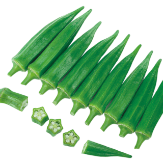 ALL_catalog_24F19_1ke9mklETI