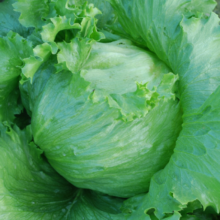 ALL_catalog_24F19_1q3WMDzYFV