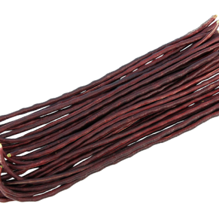 ALL_catalog_24F19_22Ks00dDyL