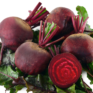 ALL_catalog_24F19_2UtyieqfB3