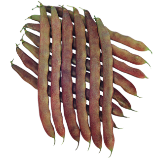 ALL_catalog_24F19_2wrDFYewUy