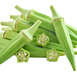 ALL_catalog_24F19_4sevM60LpX