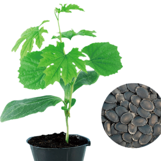 ALL_catalog_24F19_6Frl0C70YG