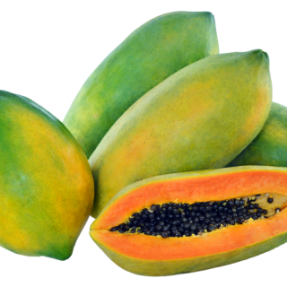 ALL_catalog_24F19_7K9aGPIWZa