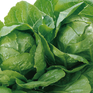 ALL_catalog_24F19_7psfhvwSrJ